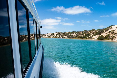 Coorong Discovery Cruise - Accommodation in Surfers Paradise 3