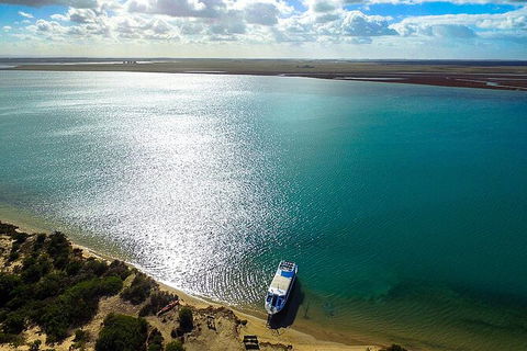 Coorong Discovery Cruise - Accommodation in Surfers Paradise 7