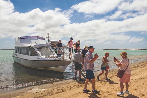 Coorong Discovery Cruise - Accommodation in Surfers Paradise 8