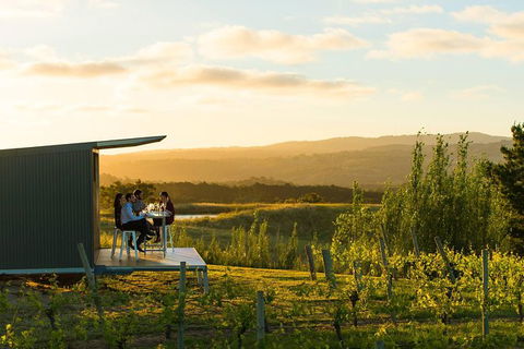 The Lane Vineyard: Panorama Private Wine Tasting Experience - Accommodation in Surfers Paradise 0
