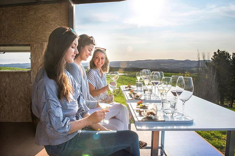 The Lane Vineyard: Panorama Private Wine Tasting Experience - Accommodation in Surfers Paradise 1