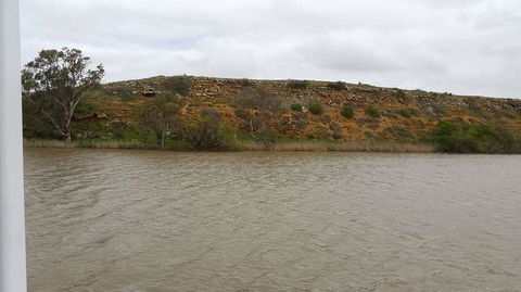 Murray River Riverboat Tour Including Lunch From Adelaide - Accommodation in Surfers Paradise 9