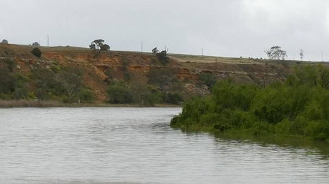 Murray River Riverboat Tour Including Lunch From Adelaide - Accommodation in Surfers Paradise 6