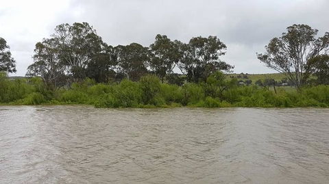 Murray River Riverboat Tour Including Lunch From Adelaide - Accommodation in Surfers Paradise 10