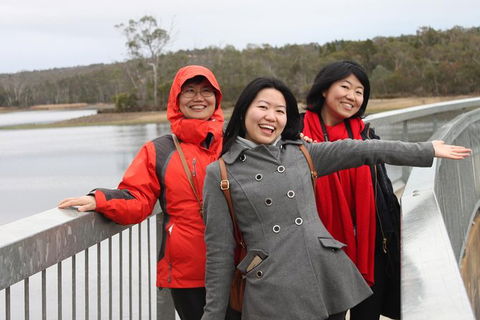 Private Barossa Valley Wine Region Tour From Adelaide - Accommodation in Surfers Paradise 6