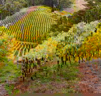 Private Adelaide Hills Wine Region Tour - Accommodation in Surfers Paradise