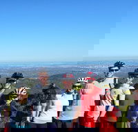 Mount Lofty Descent Bike Tour from Adelaide - Accommodation in Surfers Paradise