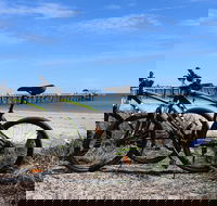Adelaide City to Sea Bike Tour - Accommodation in Surfers Paradise