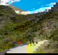 Morialta Wilderness and Wildlife Hike - Day Trip from Adelaide - Accommodation in Surfers Paradise