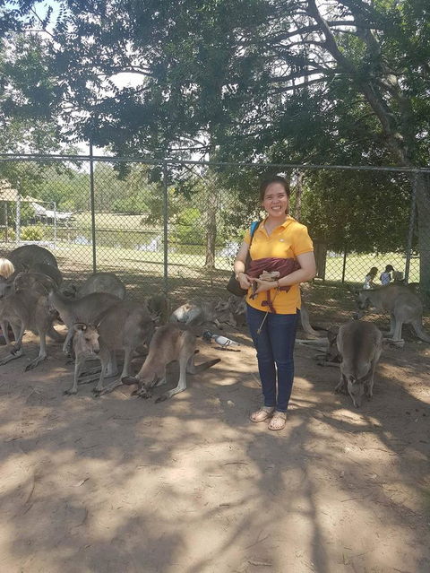 Lone Pine Koala Sanctuary Admission With Brisbane River Cruise - Accommodation in Surfers Paradise 17