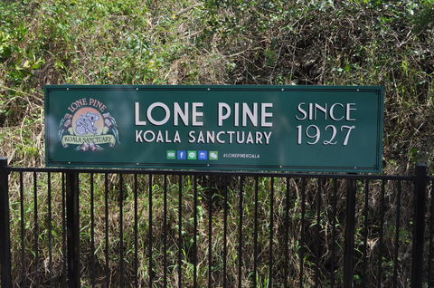 Lone Pine Koala Sanctuary Admission With Brisbane River Cruise - Accommodation in Surfers Paradise 7