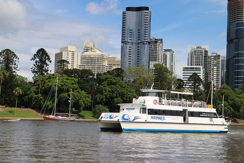 Lone Pine Koala Sanctuary Admission With Brisbane River Cruise - Accommodation in Surfers Paradise 32