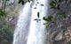 Springbrook And Tamborine Rainforest Glow Worm Tour - thumb 1