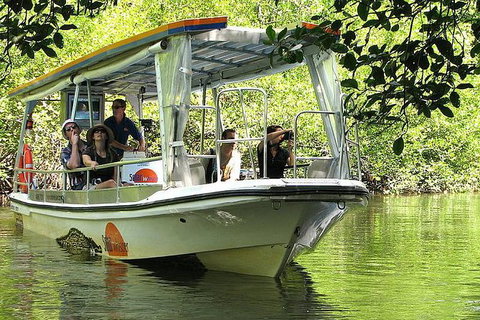 Cairns Reef And Rainforest Combo: Daintree Rainforest And The Great Barrier Reef - Accommodation in Surfers Paradise 5