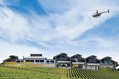 Helicopter Tour - Sirromet Winery & Scenic Flight - Accommodation in Surfers Paradise 1