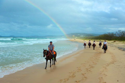 Rainbow Beach Horse Ride - Accommodation in Surfers Paradise 0
