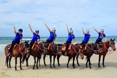 Rainbow Beach Horse Ride - Accommodation in Surfers Paradise 4