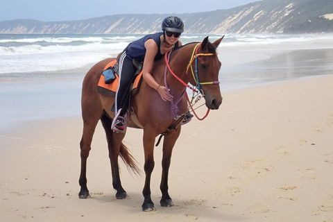 Rainbow Beach Horse Ride - Accommodation in Surfers Paradise 2
