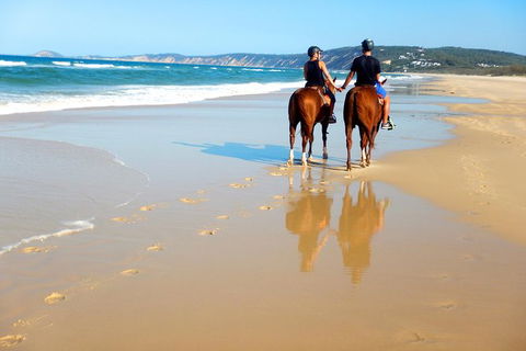 Rainbow Beach Horse Ride - Accommodation in Surfers Paradise 3