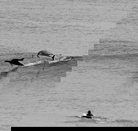 Overnight Tweed Coast Camping and Surfing Getaway From The Gold Coast - Accommodation in Surfers Paradise