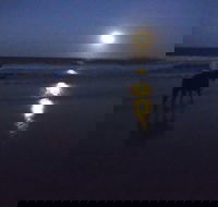 Full Moon Horse Ride at Rainbow Beach - Accommodation in Surfers Paradise