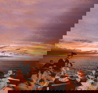 Darwin Harbour Sunset Cruise with Optional Buffet Dinner - Accommodation in Surfers Paradise