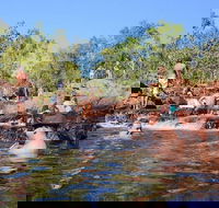 Litchfield and Jumping Crocodiles Full Day Trip from Darwin - Accommodation in Surfers Paradise