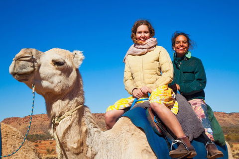 Alice Springs Camel Tour - Accommodation in Surfers Paradise 8