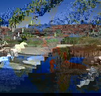 Palm Valley 4WD Tour - Accommodation in Surfers Paradise