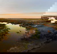 1 Day Corroboree Billabong Wetland Experience including 2.5 hour cruise  lunch - Accommodation in Surfers Paradise