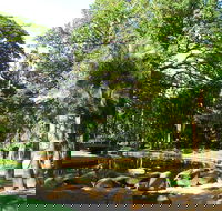 Darwin Afternoon Sightseeing Tour - Accommodation in Surfers Paradise