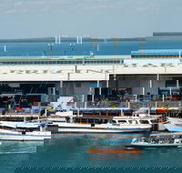 Darwin Harbour Bombing of Darwin Cruise - Accommodation in Surfers Paradise