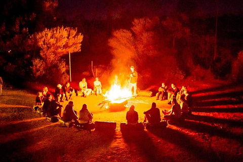 4-Day Red Centre Camping Safari From Alice Springs Or Ayers Rock Including Kings Canyon - Accommodation in Surfers Paradise 0