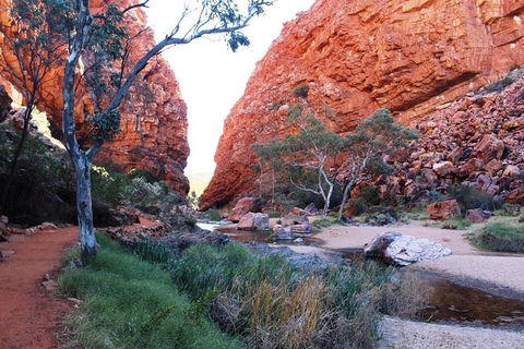 Half Day MacDonnell Ranges Small Group - Private Guided Tour - Accommodation in Surfers Paradise 0
