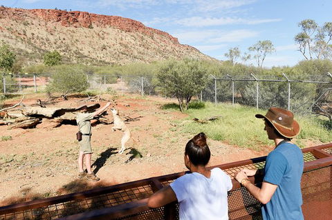 Alice Springs Desert Park General Entry Ticket - Accommodation in Surfers Paradise 9