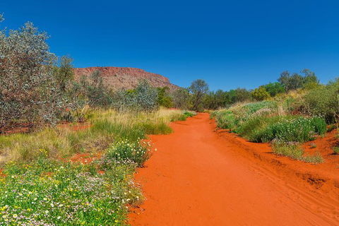 Alice Springs Desert Park General Entry Ticket - Accommodation in Surfers Paradise 7