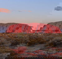 3-Day Uluru Camping Tour from Alice Springs Including Kata Tjuta and Kings Canyon - Accommodation in Surfers Paradise