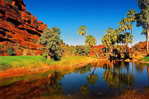 Palm Valley 4WD Day Tour - Accommodation in Surfers Paradise 0