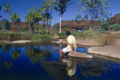 Palm Valley 4WD Day Tour - Accommodation in Surfers Paradise 3