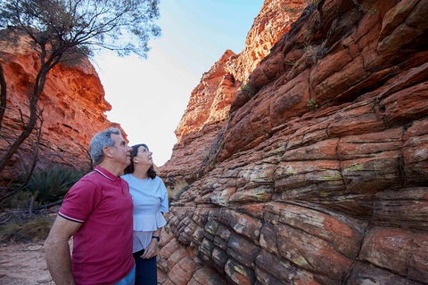 3-Day Alice Springs To Uluru (Ayers Rock) Via Kings Canyon Tour - Accommodation in Surfers Paradise 17