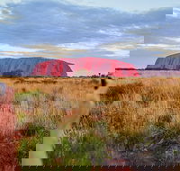 2-Day Uluru Ayers Rock National Park Explorer Trip from Alice Springs - Accommodation in Surfers Paradise