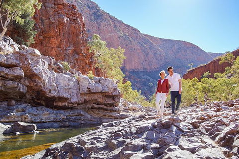 5-Day 4WD Journey From Alice Springs To Ayers Rock - Accommodation in Surfers Paradise 1