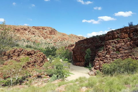 East MacDonnell Ranges 1 Day 4WD Tour - Accommodation in Surfers Paradise 0