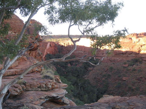 3-Day Uluru And Kings Canyon Camping Experience From Alice Springs Including Outback BBQ Dinner - Accommodation in Surfers Paradise 1