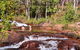 Litchfield National Park Day Tour From Darwin With Waterfalls And Buley Rockhole - thumb 0