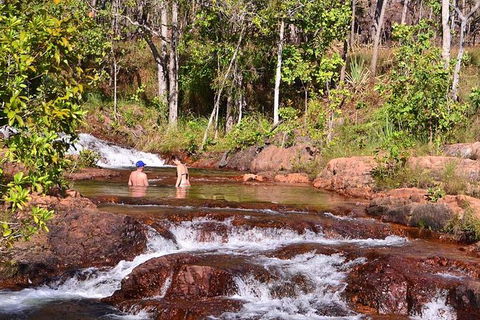 Litchfield National Park Day Tour From Darwin With Waterfalls And Buley Rockhole - Accommodation in Surfers Paradise 12