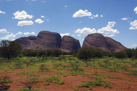 Uluru (Ayers Rock) And The Olgas Tour Including Sunset Dinner From Alice Springs - Accommodation in Surfers Paradise 0