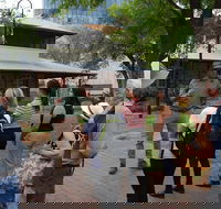 Alice Springs Walking Tours - Accommodation in Surfers Paradise
