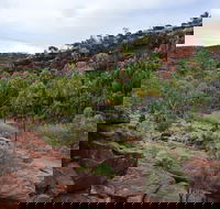 Palm Valley and Hermannsburg 1 Day 4WD Tour - Accommodation in Surfers Paradise