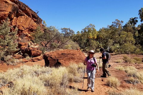 Palm Valley And Hermannsburg 1 Day 4WD Tour - Accommodation in Surfers Paradise 5